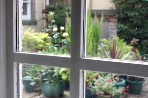 a window view of a garden with potted plants at Beachside - North Berwick in North Berwick