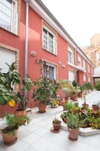 Gallery image of Hotel Casbah in El Puig