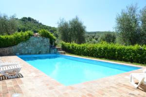 Bazén v ubytovaní La casina degli olivi alebo v jeho blízkosti