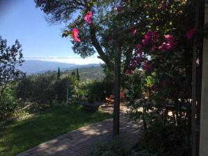 a view from the garden of a house with pink flowers at Cottage Torre Elena - Staletti in Stalettì
