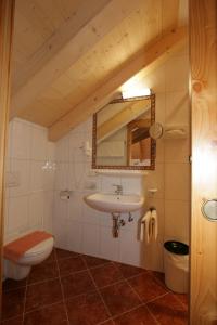 y baño con lavabo, aseo y espejo. en Hotel Garni Litzner en Ischgl