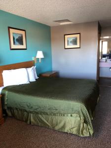 1 dormitorio con 1 cama grande en una habitación en Sumner Motor Inn, en Sumner
