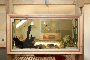 a display window of a room with a living room at Manhattan loft in Margate