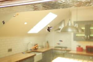 a kitchen with a sink and a ceiling with kites flying at Manhattan loft in Margate