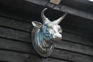 Animals at the apartment or nearby 