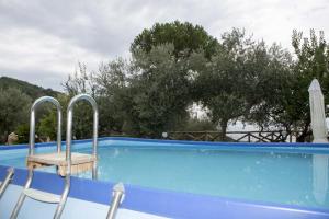 une piscine bleue avec une chaise et des arbres dans l'établissement Appartamento degli Ulivi 2, à Sant'Agnello