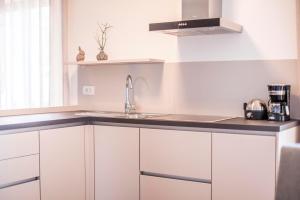 A kitchen or kitchenette at Weinberg Apartments