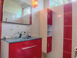 bagno con lavandino e armadietto rosso di Le Parc aux Orchidées a Pointe-Noire