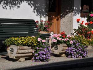 Zahrada ubytování Gästehaus Frankl