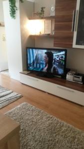 een flatscreen-tv in een woonkamer bij Ferienwohnung Heinrich in Altenau