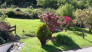 Zahrada ubytování Ben Nevis Guest House