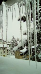 un grupo de carámbanos colgando de un árbol cubierto de nieve en Tra sogni e realtà Roccaraso, en Roccaraso