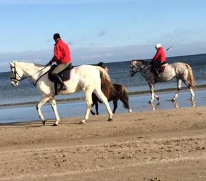 a group of people riding horses on the beach at Ferienwohnung mit Terrasse - Insel Usedom in Trassenheide +63 photos