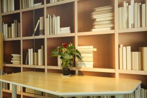 Biblioteca din această cameră de închiriat