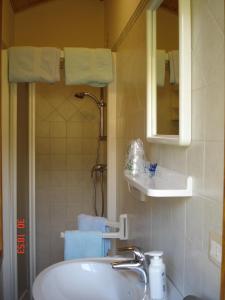 a bathroom with a sink and a mirror at B&B Sòl Fiorì in Agordo