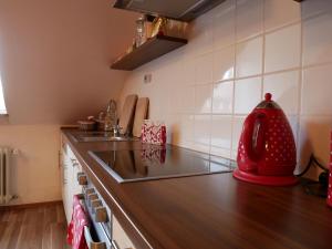 een keuken met een wastafel en een rode waterkoker op het aanrecht bij Ferienwohnung Comic Fantasy in Lindau