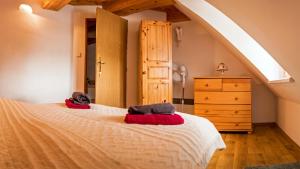 利普托斯基米庫拉斯的住宿－Chata Delta，一间卧室设有一张床和一个阁楼