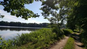 een pad naast een meer met bomen bij U Rožmberka Třeboňsko in Lužnice