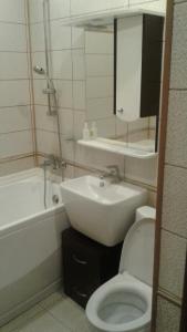 カリーニングラードにあるApartment on Chernyakhovskogo 36のバスルーム(洗面台、トイレ、鏡付)