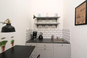 Kuchyňa alebo kuchynka v ubytovaní Danube studio apartment