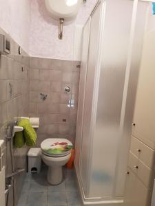 ein kleines Bad mit einem WC und einer Dusche in der Unterkunft La casa di Pasquino in Lama
