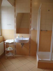 W łazience znajduje się umywalka i prysznic. w obiekcie Hotel Pod Platanami w mieście Trzebnica