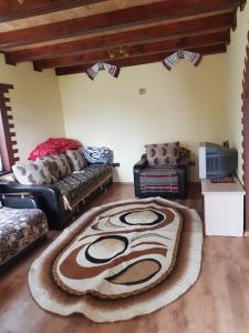a living room with a large rug on the floor at Cabana David in Beclean