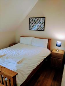 a bedroom with a large white bed and a lamp at 17 Crusader House in Bristol +5 photos