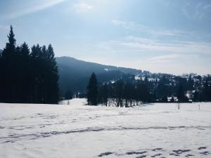 Náttúran í nágrenni hótelsins