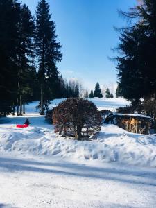 Hotel Lesní Chata að vetri til
