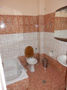 a bathroom with a toilet and a tub and a sink at Konitsa Panorama in Konitsa