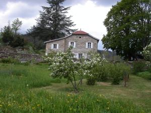 una vecchia casa in pietra in un campo con un albero di Gite Deux-Eaux a Saint-Martial