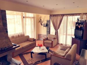 a living room with a couch and a fireplace at Guesthouse Adonis in Kato Loutraki