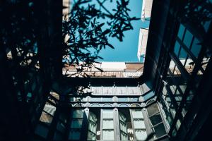 a view of a building from the bottom of a tree at Sant Francesc Hotel Singular in Palma de Mallorca