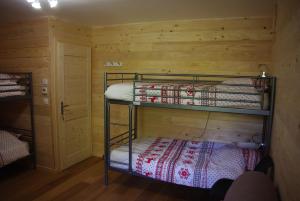a bunk bed in a room with a wooden wall at Les Petites Marmottes in Vaujany