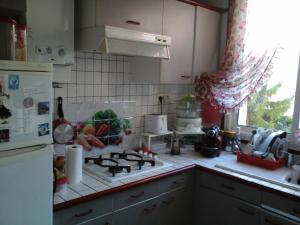 kuchnia z kuchenką i lodówką w obiekcie Residence Privée w Nicei