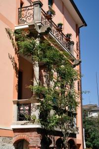a building with a large window and a tree at Hotel Villa Mon Toc in Stresa