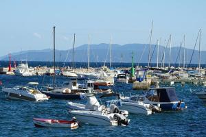 Fotografia z galérie ubytovania Villa Pelda Apartment, sea view, parking, pet friendly v destinácii Opatija