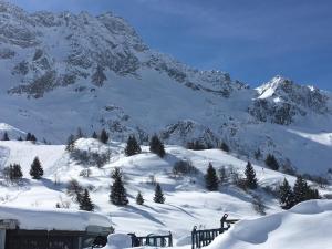 a person on skis in the snow in front of a mountain at Appartamento San Bartolomeo in Passo del Tonale +8 photos