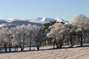 a group of trees in a field with mountains in the background at The Tanners Arms in Devynock