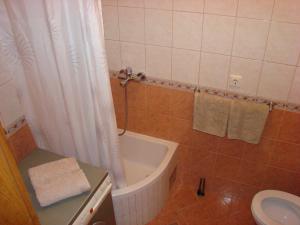 Koupelna v ubytování Apartments Ledic