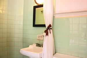 ein Badezimmer mit Waschbecken und Duschvorhang in der Unterkunft Casa Blanca Tequisquiapan in Tequisquiapan