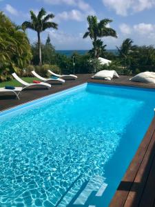 a blue swimming pool with chairs and palm trees at Villa Paradis - vue mer, piscine et jacuzzi in Sainte-Anne