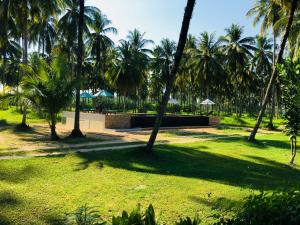 Zahrada ubytování Khao Lak Golden Coconut