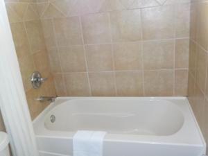 Koupelna v ubytování Econo Lodge