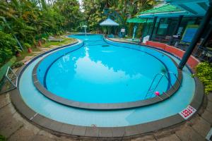 a large swimming pool with blue water at The Renai Cochin in Cochin