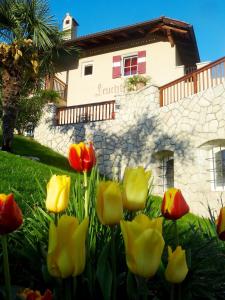 un gruppo di tulipani di fronte a una casa di Leuchtenhof a Caldaro