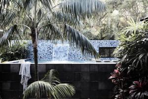 uma piscina com uma palmeira e uma fonte em The Villas of Byron em Byron Bay