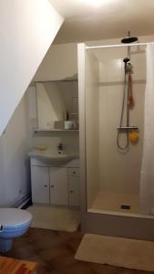 ein Bad mit einer Dusche und einem Waschbecken in der Unterkunft Le Mouton Blanc in Couloisy