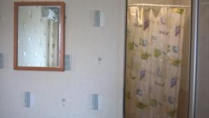 ロオにあるVolgar Guest Houseのバスルーム(シャワーカーテン、鏡付)